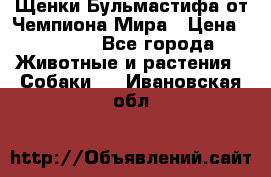 Щенки Бульмастифа от Чемпиона Мира › Цена ­ 1 000 - Все города Животные и растения » Собаки   . Ивановская обл.
